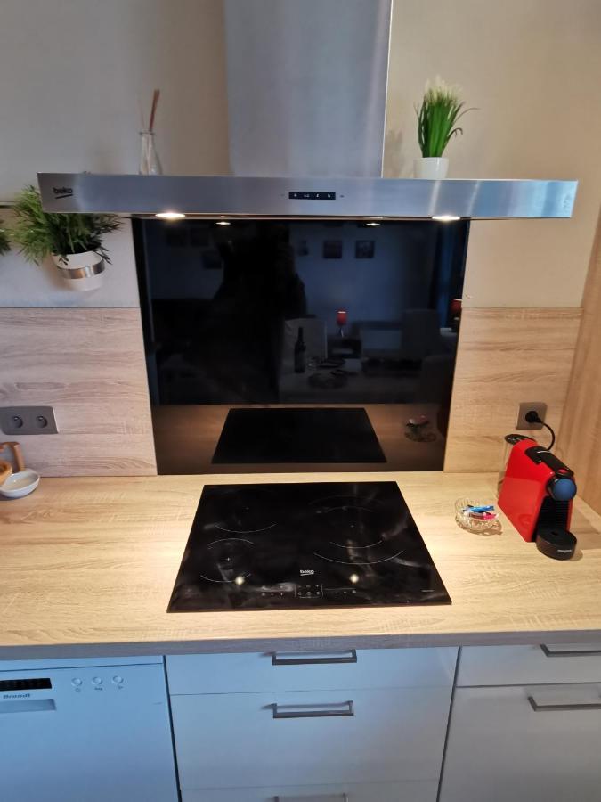 אנסי Le Duplex - Hyper Centre - Gare - Wifi - Netflix - Disney + מראה חיצוני תמונה