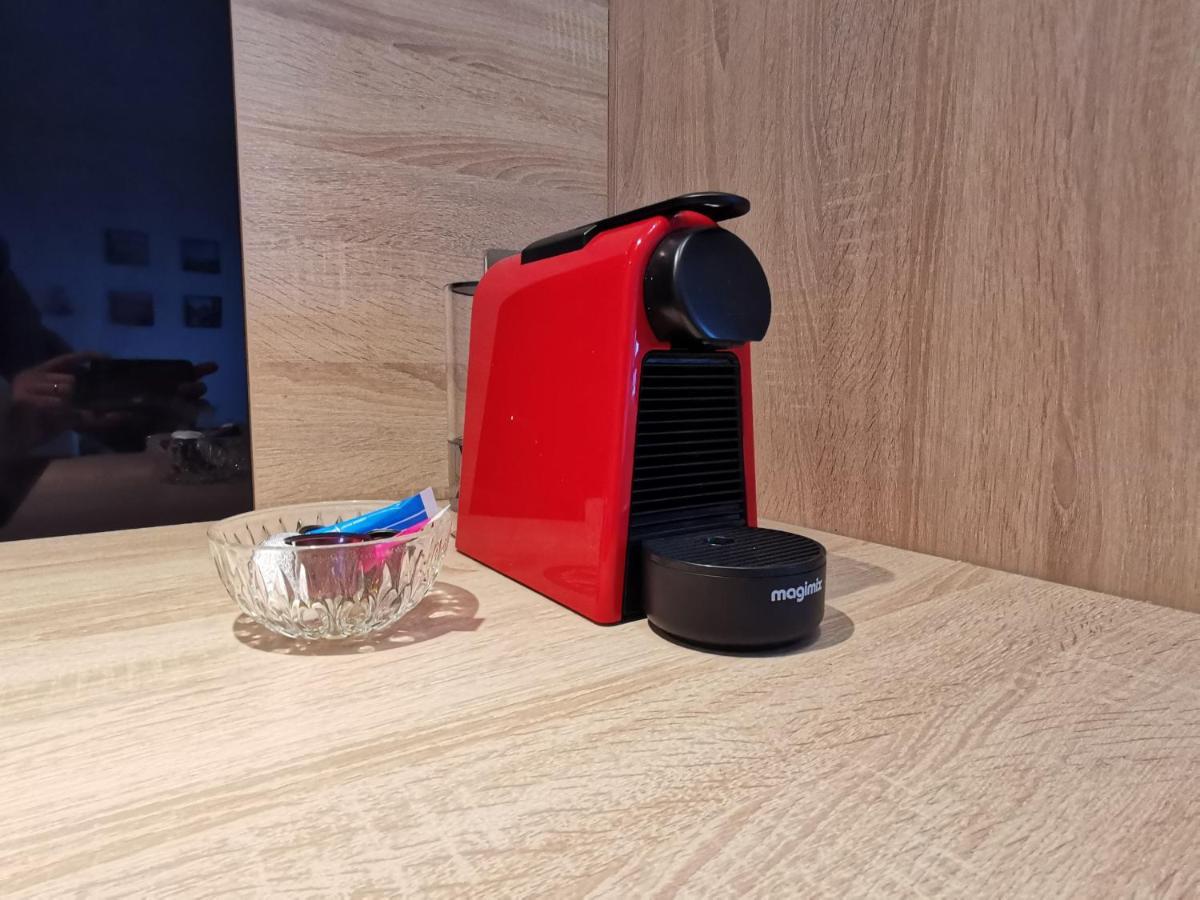 אנסי Le Duplex - Hyper Centre - Gare - Wifi - Netflix - Disney + מראה חיצוני תמונה
